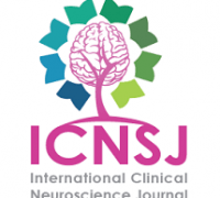 ICNSJ