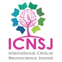 ICNSJ